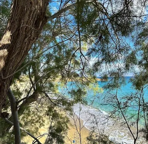 Dream House Piso Livadi